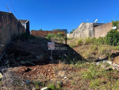Terreno para Venda, em Guarapuava, bairro Morro Alto